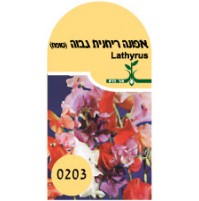 זרעי אפונה ריחנית גבוה