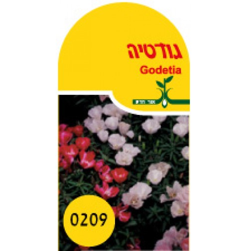 זרעי גודטיה