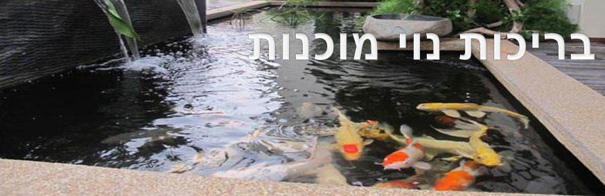 בריכות נוי