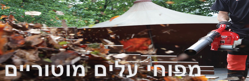 מפוחים מוטוריים