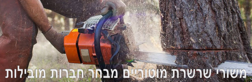 משורי שרשרת מוטוריים